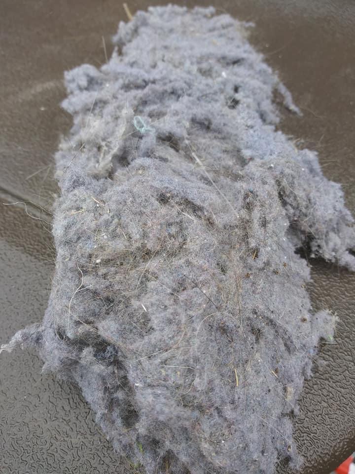 A pile of white wool on the ground.
