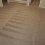 A carpet cleaning service in the process of being cleaned.